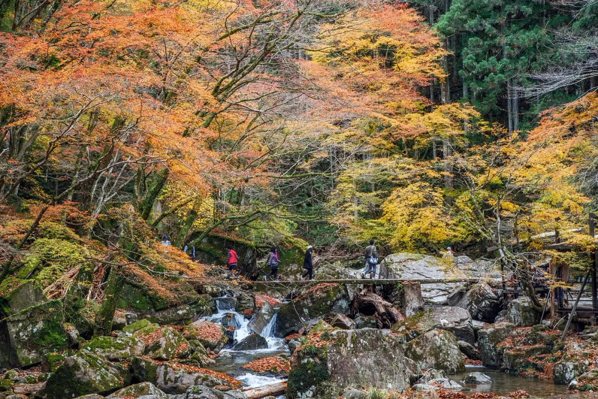 紅葉の渓谷に架かる石橋