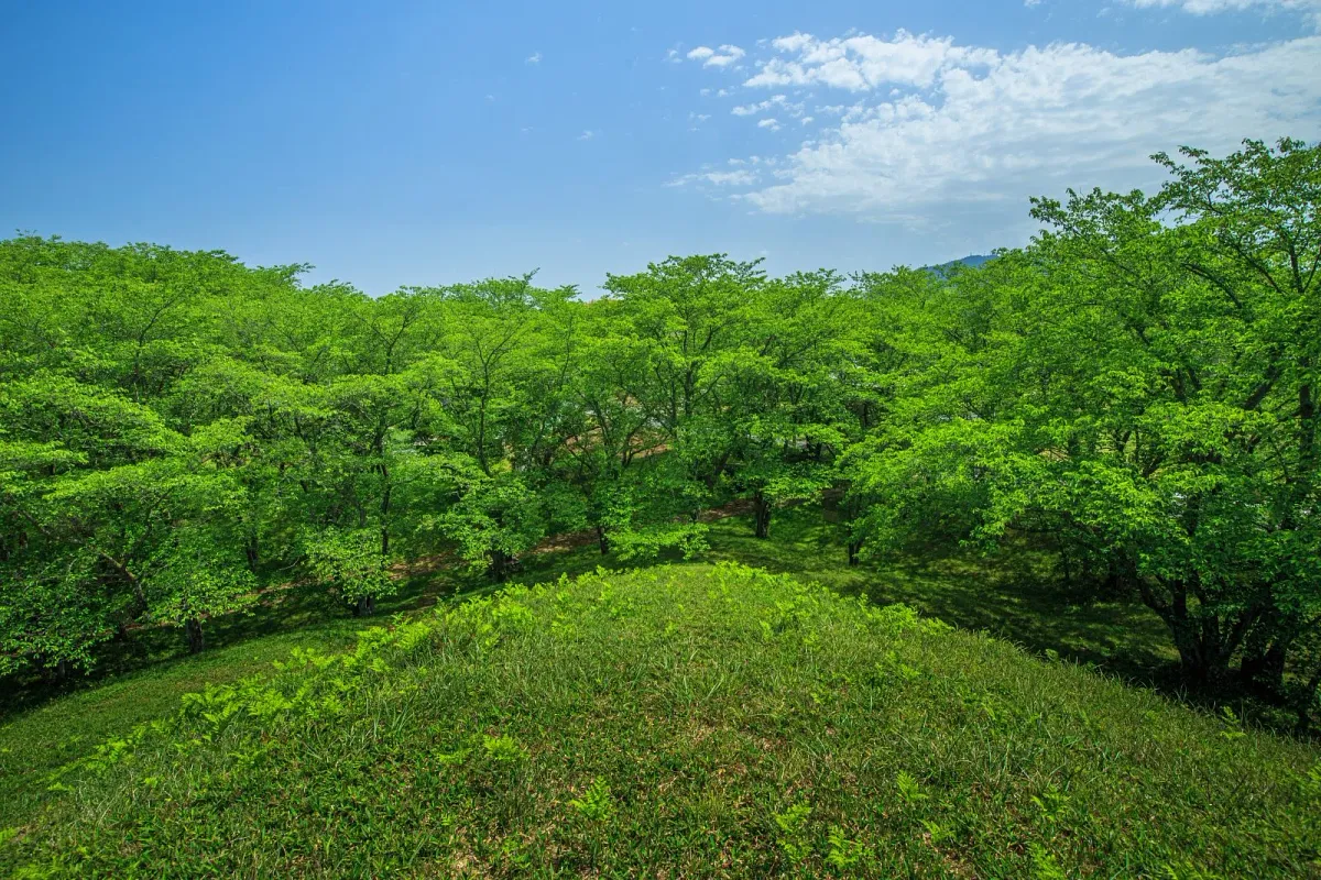 新緑の時期も美しい古墳です