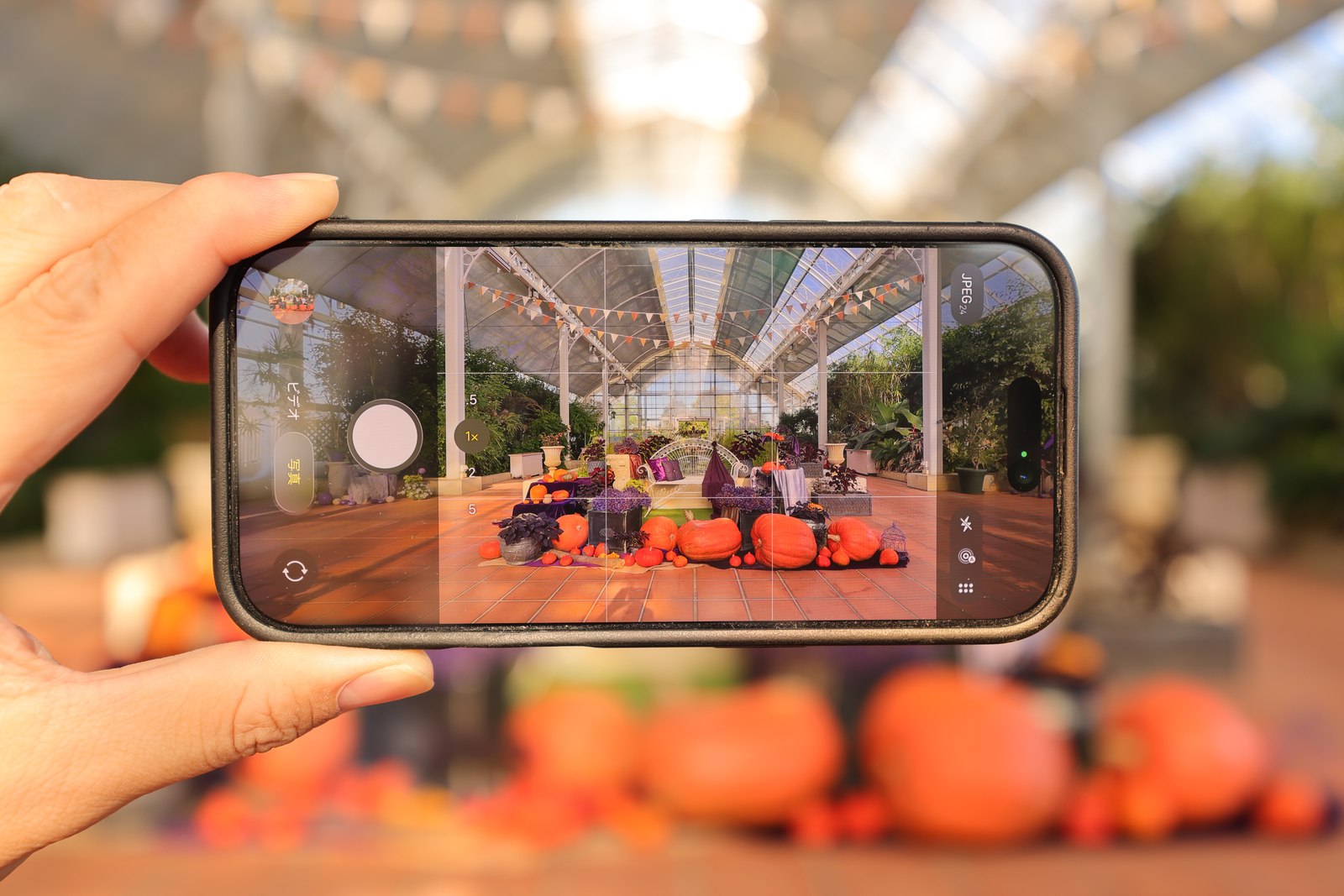 スマホの画面にハロウィンのフォトスポットを映し、背景のかぼちゃをぼかして撮影した写真
