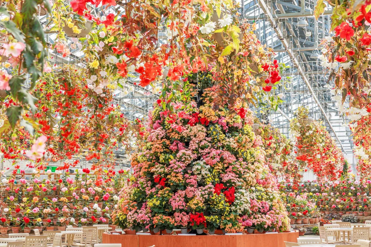ベゴニアガーデンの花タワー