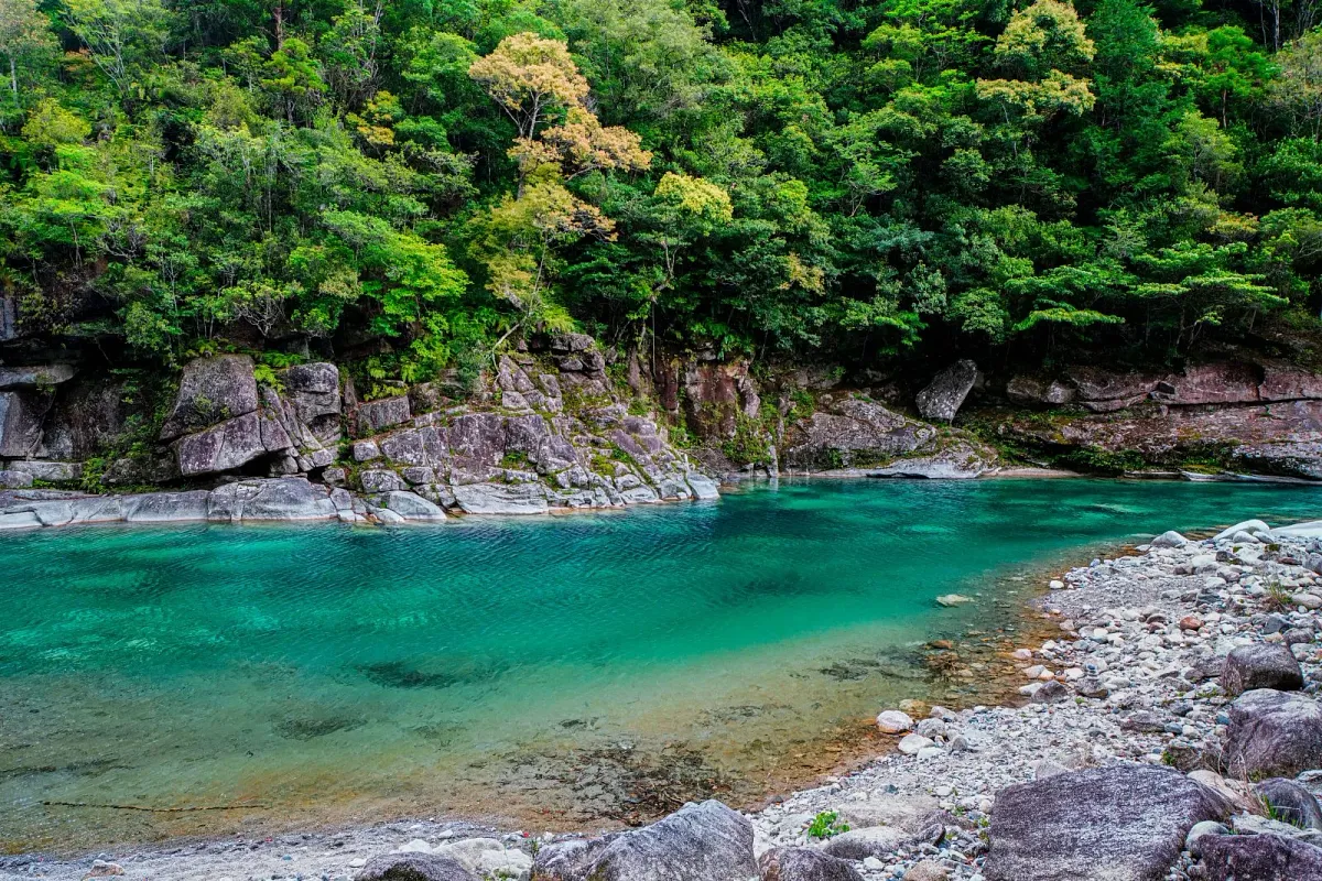 魚飛渓の清流
