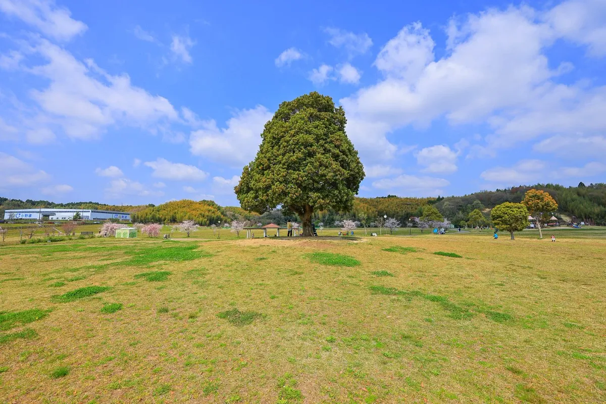 中勢グリーンパーク(HOWAパーク)の写真