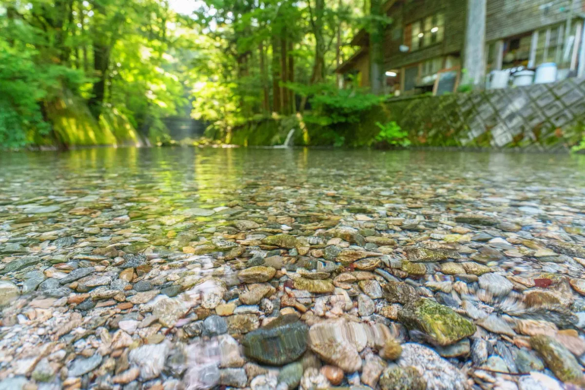 澄んだ水が流れる大吉あまごセンターそばの坂本川