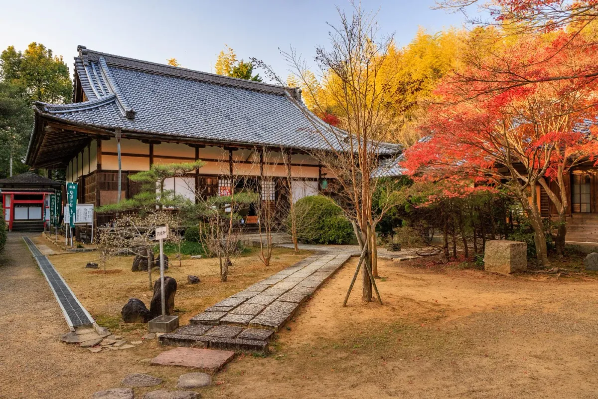 秋色に染まる円光寺の境内