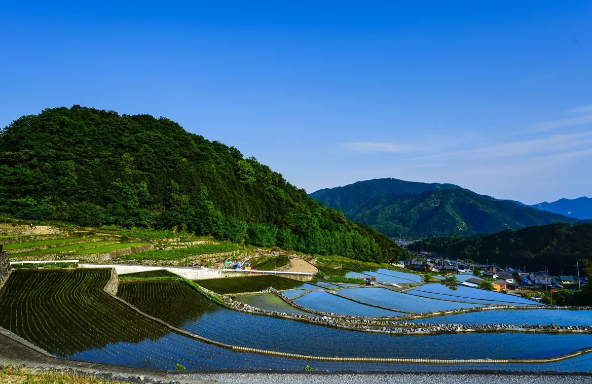 水を張った深野のだんだん田に映る空と山並み