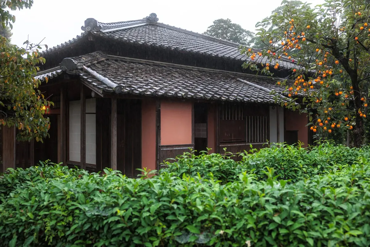 茶畑に囲まれた玄甲舎の家屋