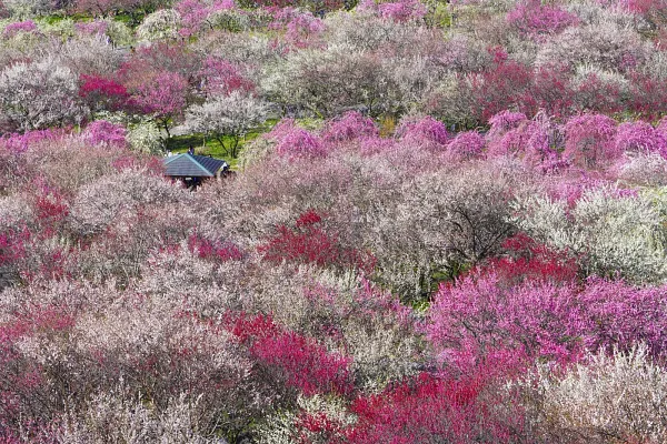 いなべ市のスポット
