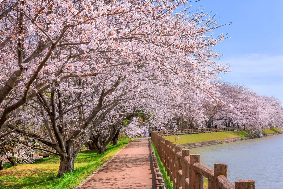 石垣池公園