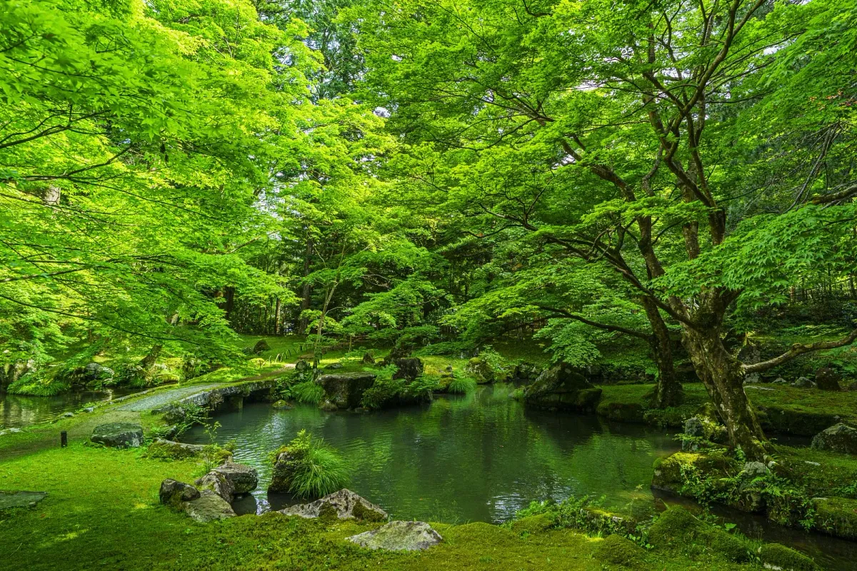 ６月の庭園は緑が濃くなり、絵に描いたような美しさです