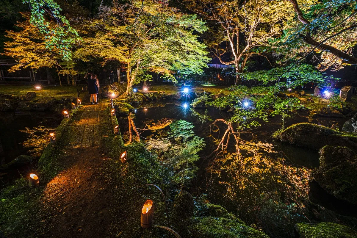 秋は紅葉ライトアップが数日限定で開催されます