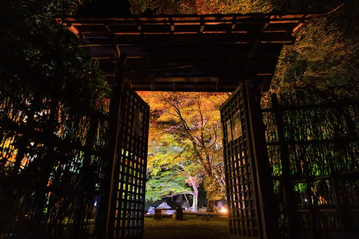庭園入口から眺める紅葉ライトアップも幻想的
