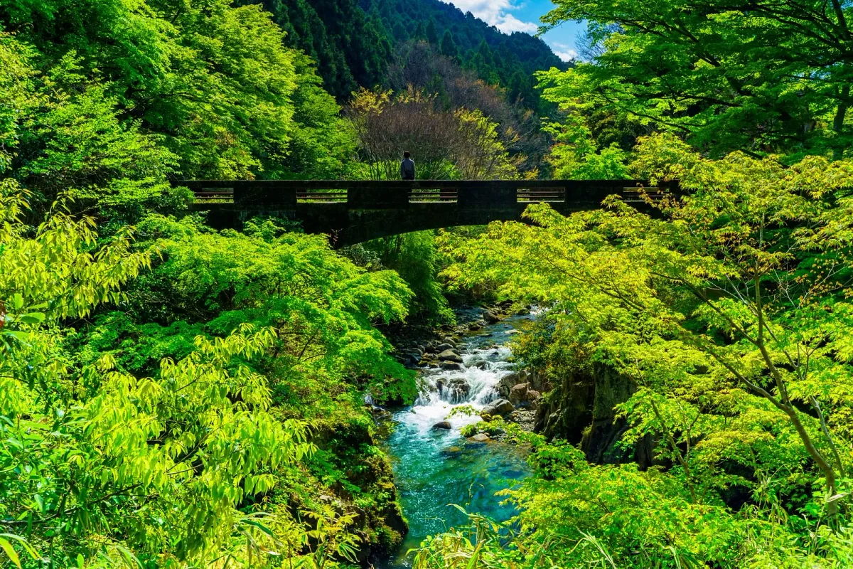 初夏〜夏は新緑も美しい渓谷です