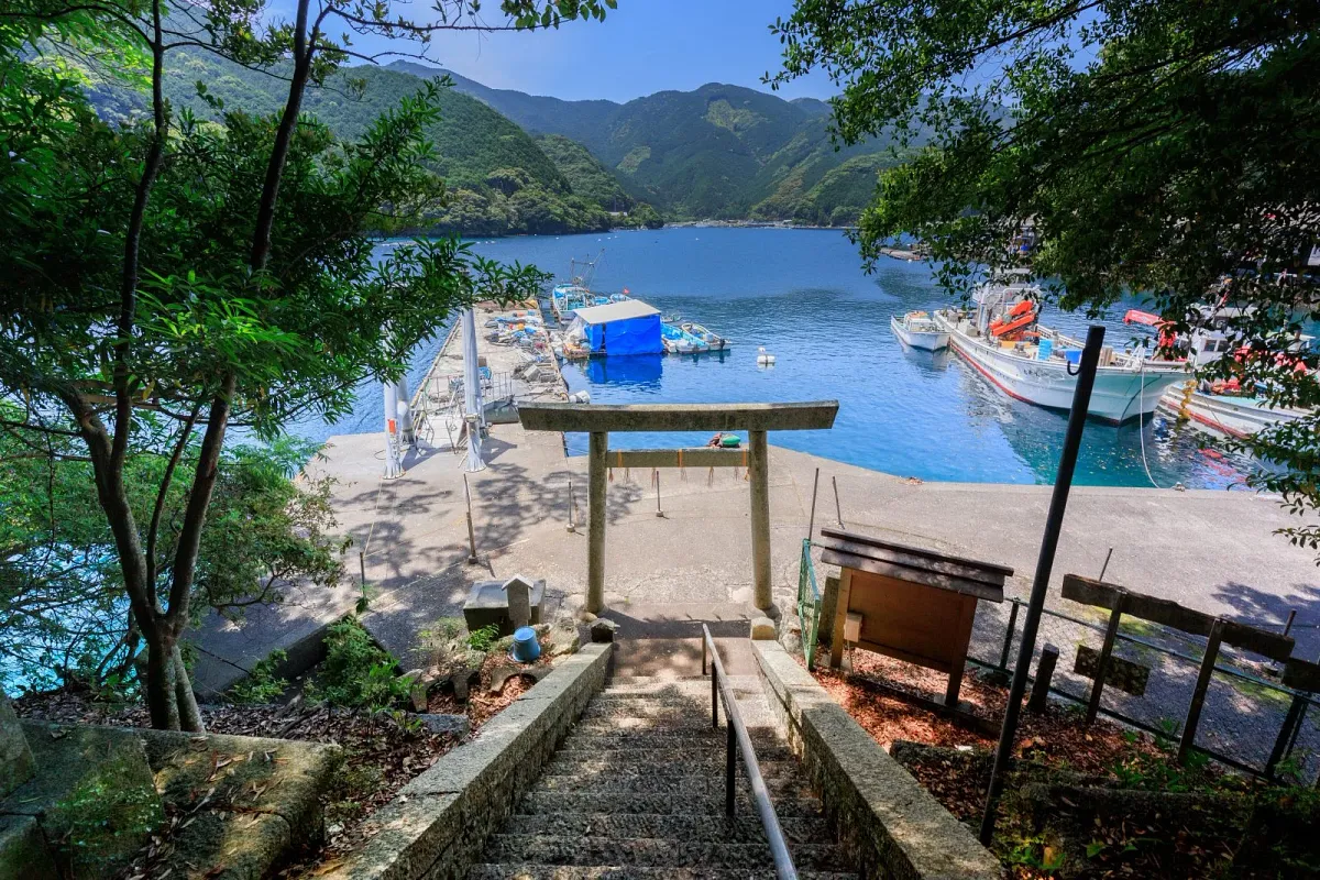 九木神社から望む九鬼漁港