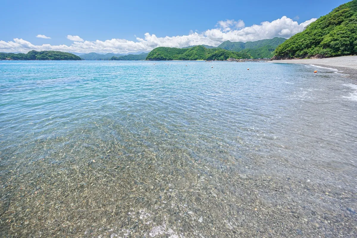 黒浜海水浴場の透明な波打ち際