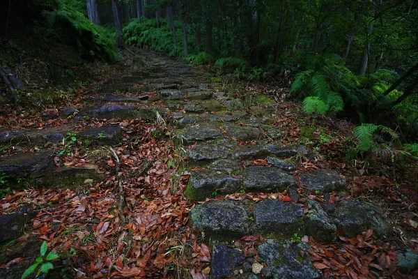 馬越峠の風景