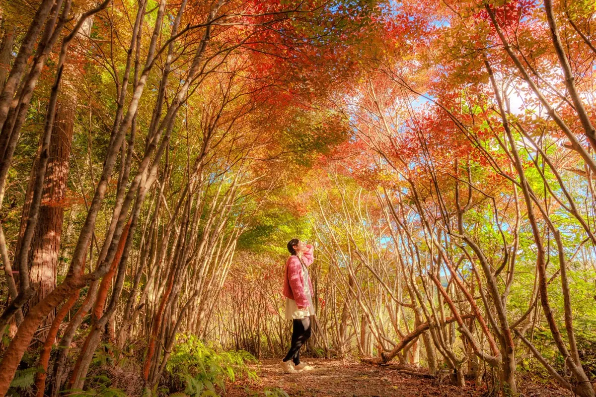 丸山公園トトロの森で紅葉ポートレート
