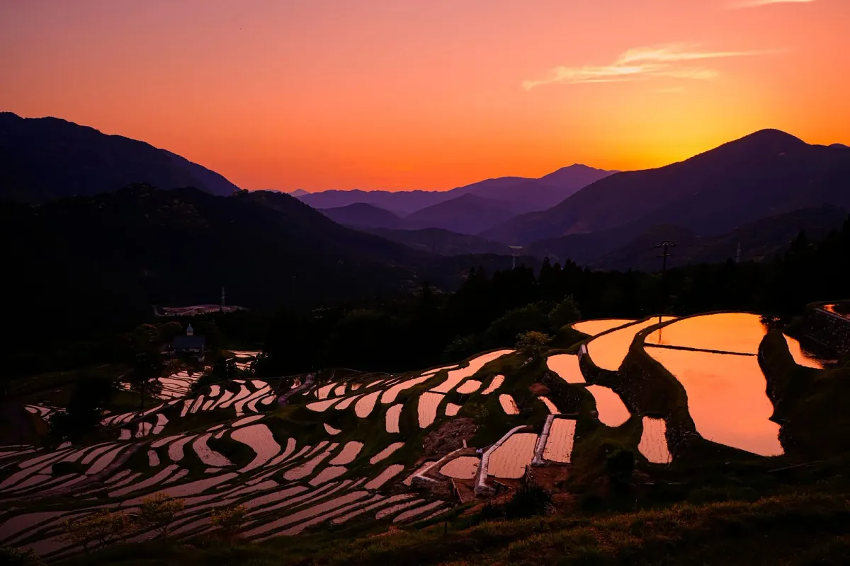 夕焼けを映す丸山千枚田