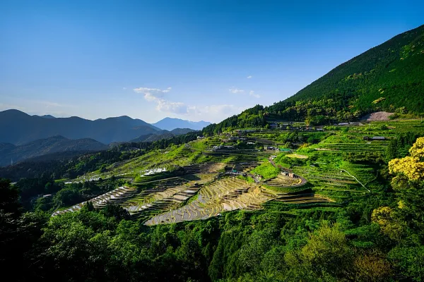 丸山千枚田