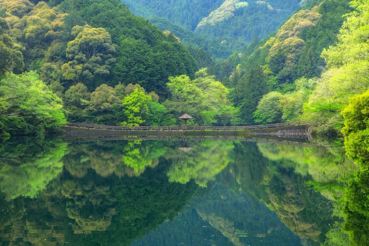 真手公園の持越池の水面に映る新緑の山々