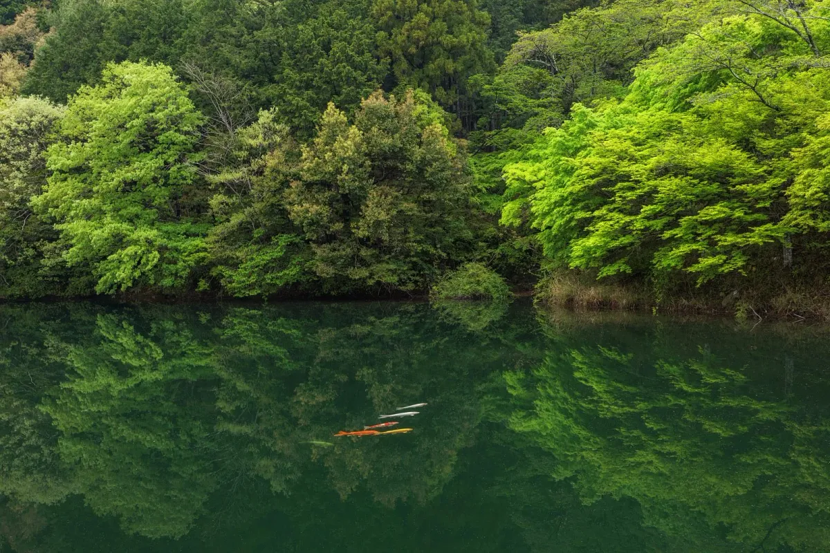 真手公園
