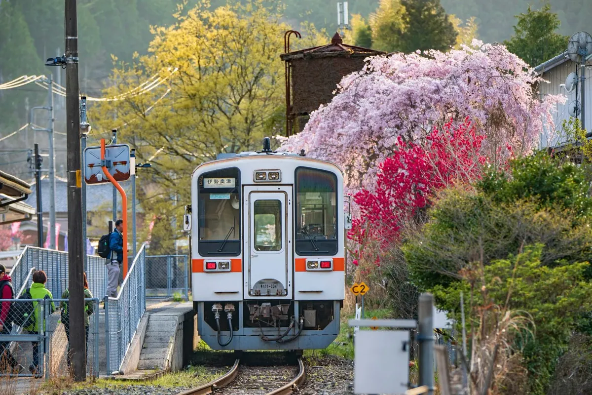 花桃が咲く伊勢奥津駅