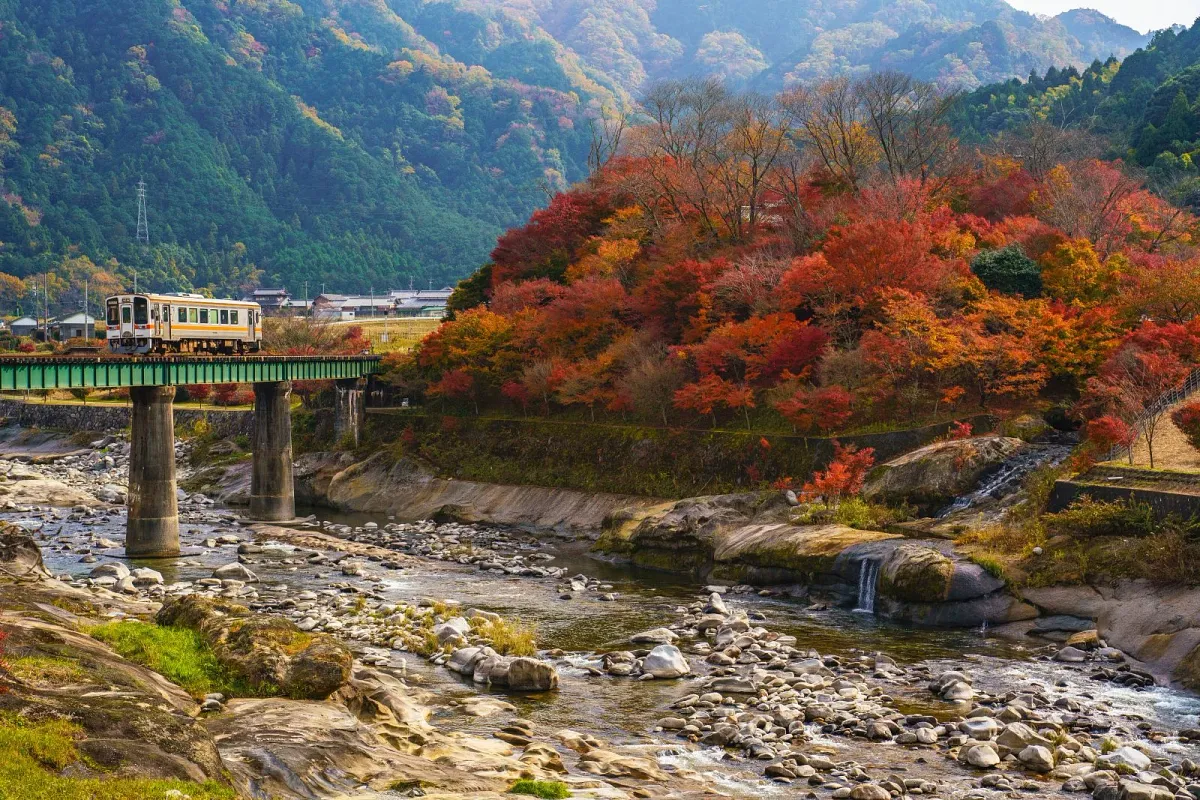 紅葉の中を走る名松線