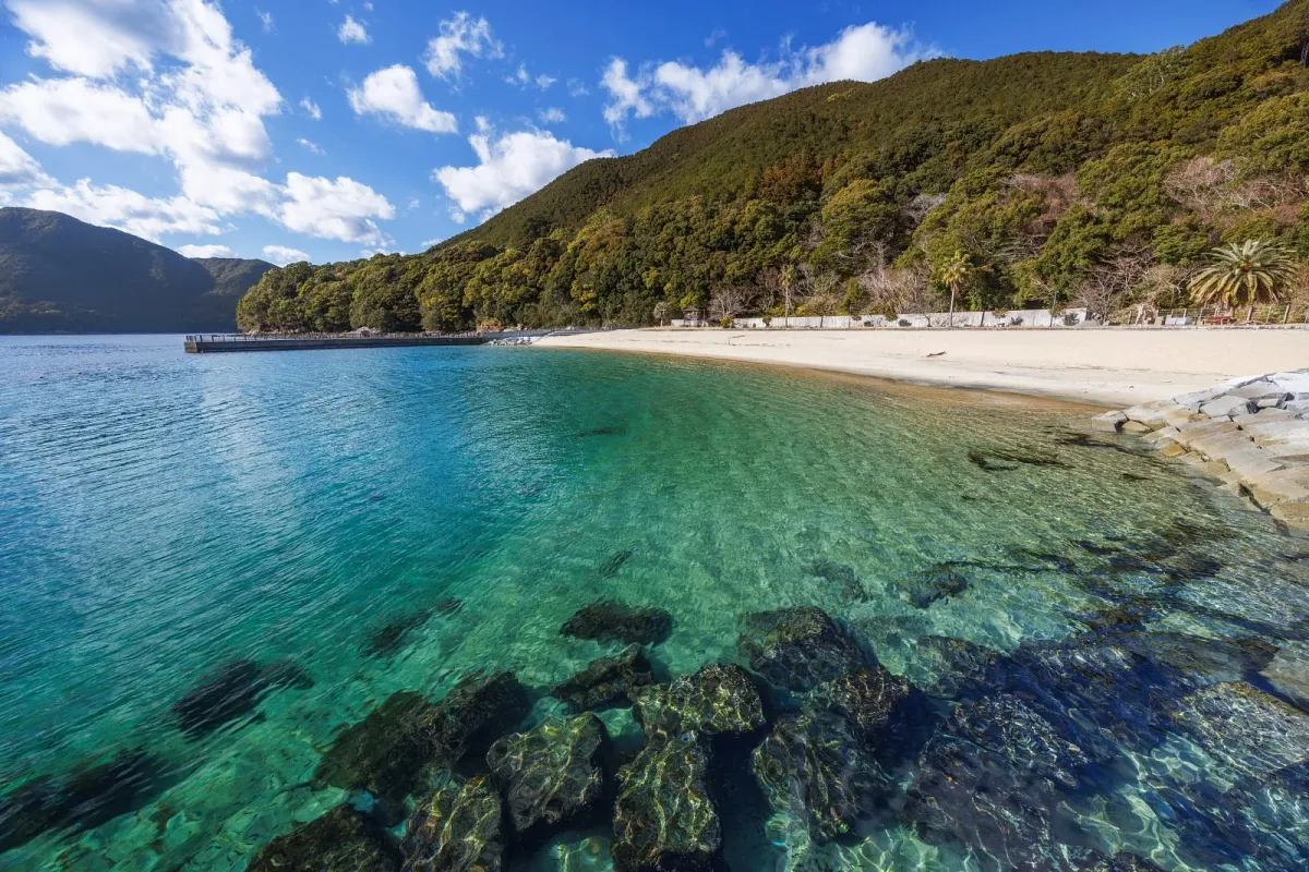 三木浦マリンパークの海