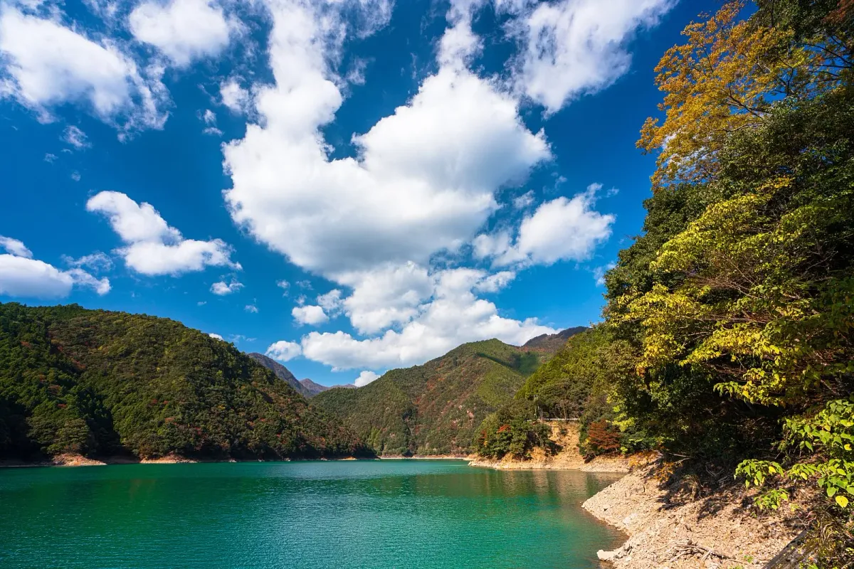 宮川ダム湖観光船
