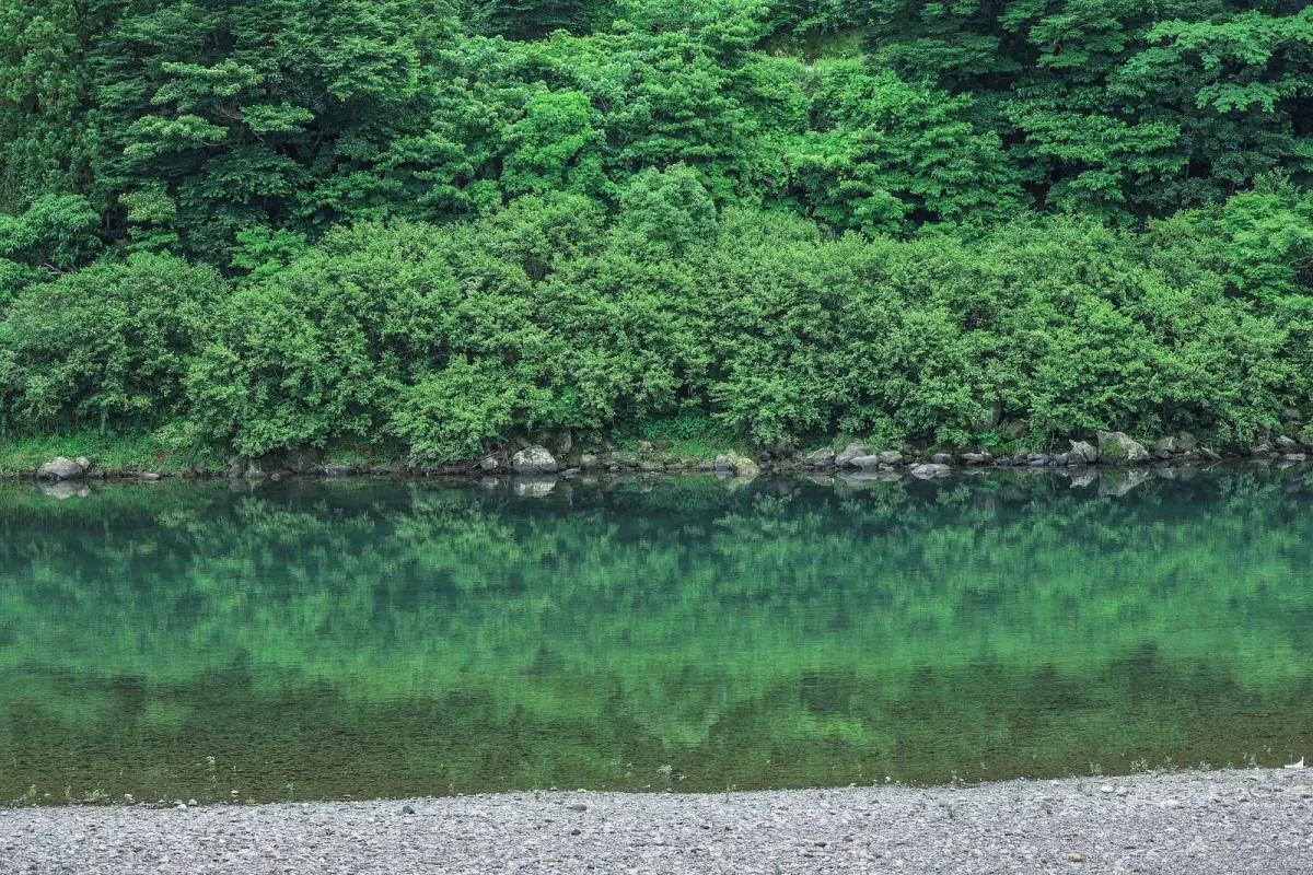 宮川