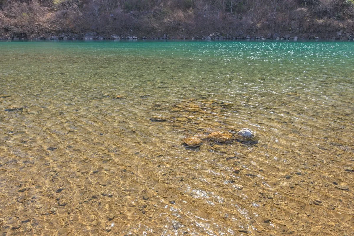 公園沿いを流れる宮川