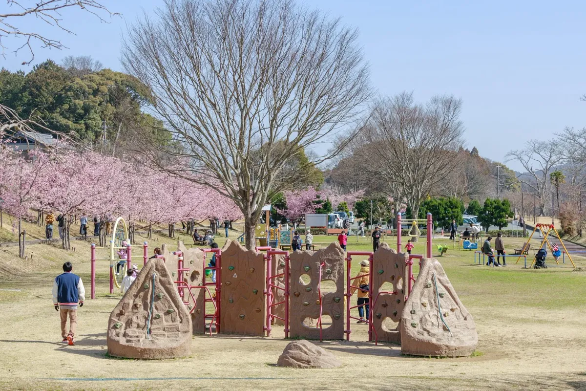 子ども広場の遊具