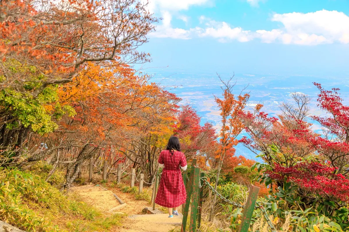 御在所岳山上の色づくドウダンツツジ