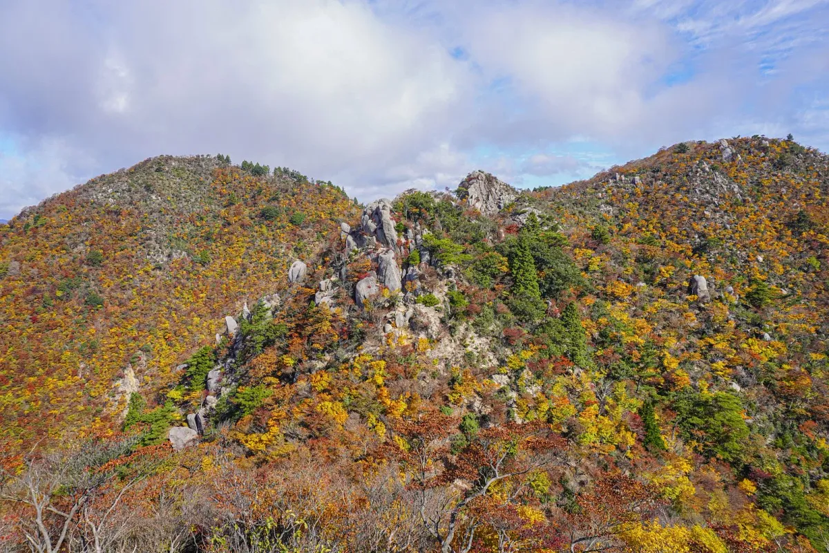 仙ヶ岳の写真