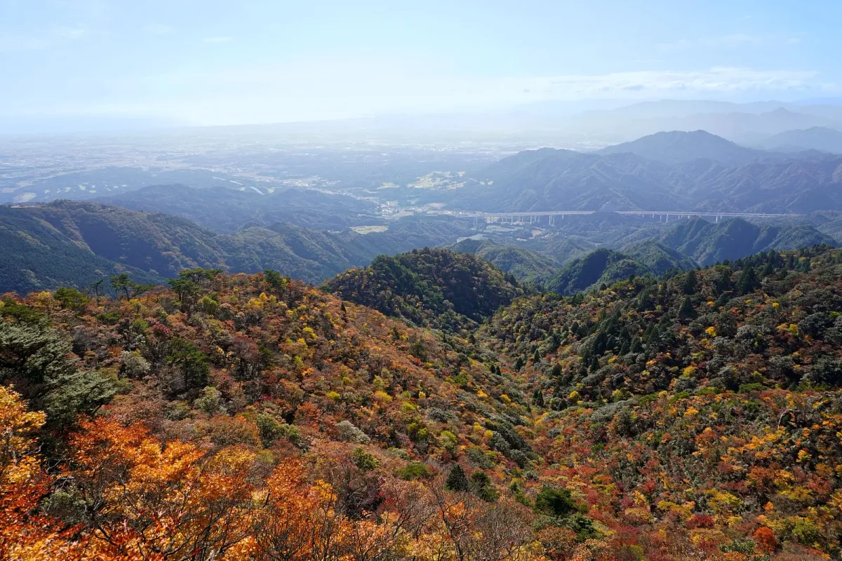 仙ヶ岳の写真