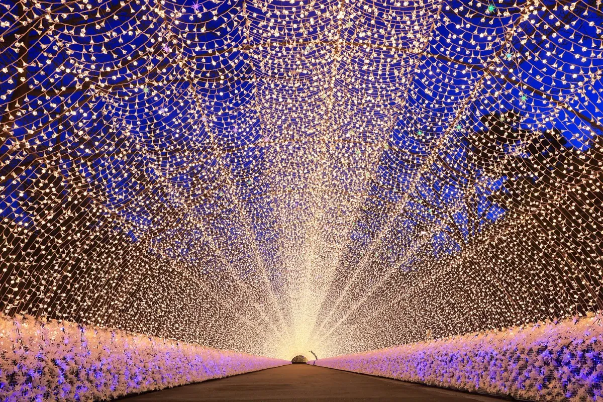 点灯してすぐの光のトンネル
