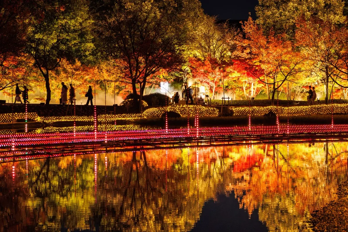 光の大河の水面に映る紅葉