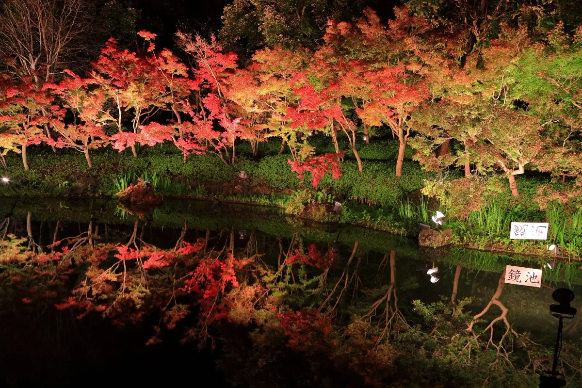 鏡池に映る紅葉