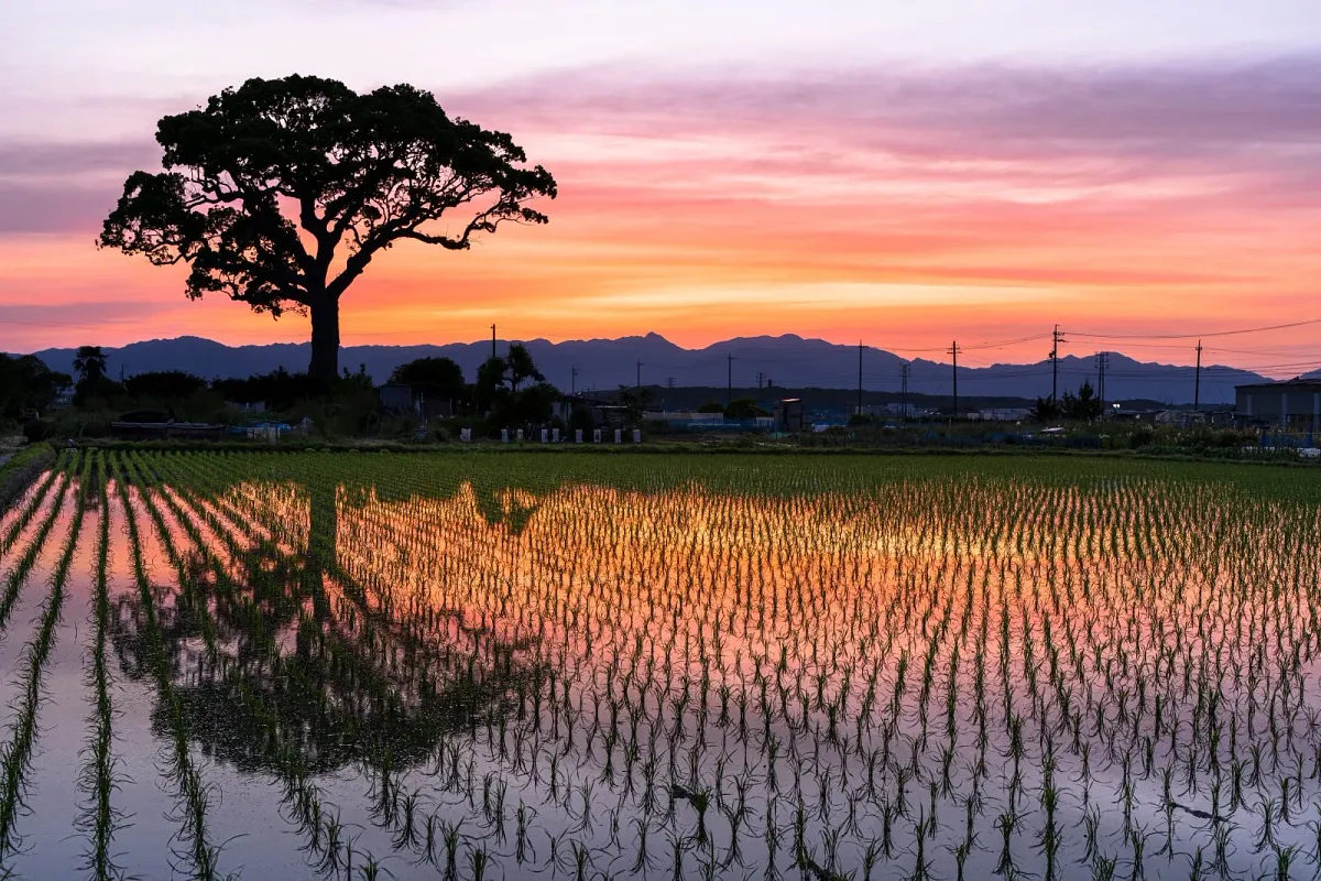 夕焼けが美しいことで知られる