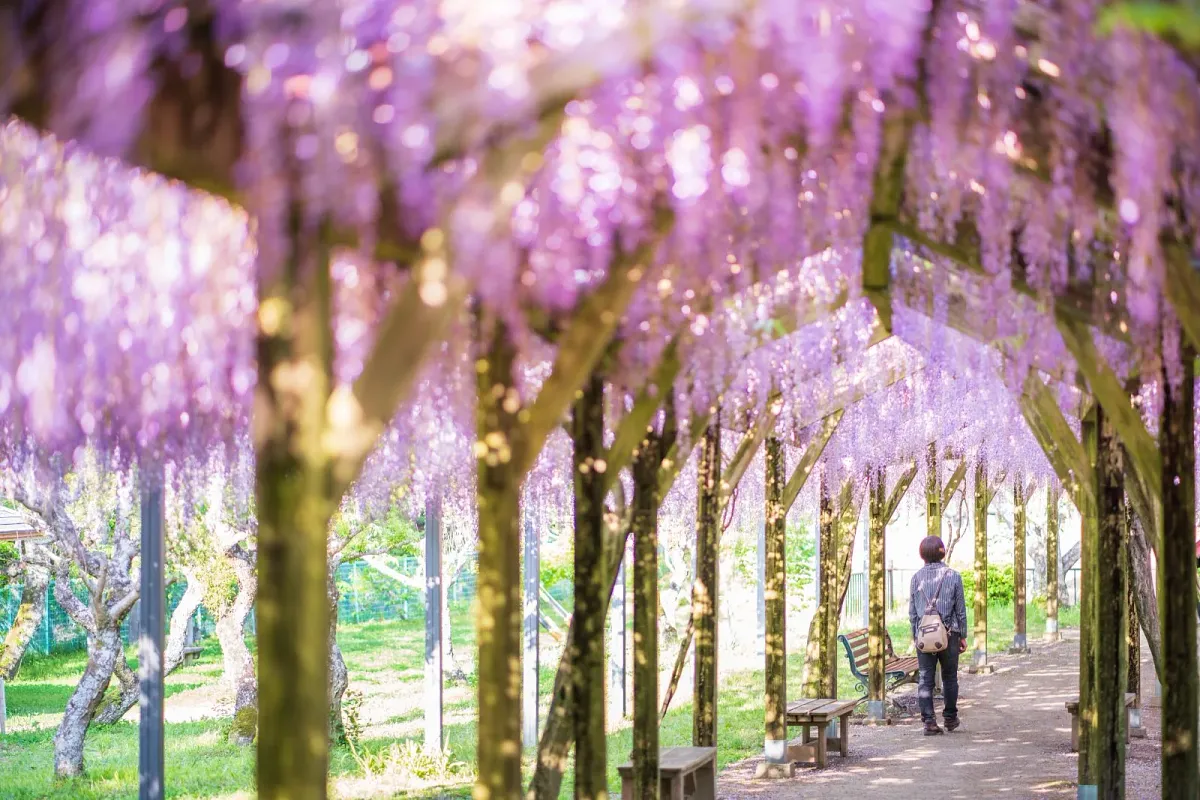 野原農村公園
