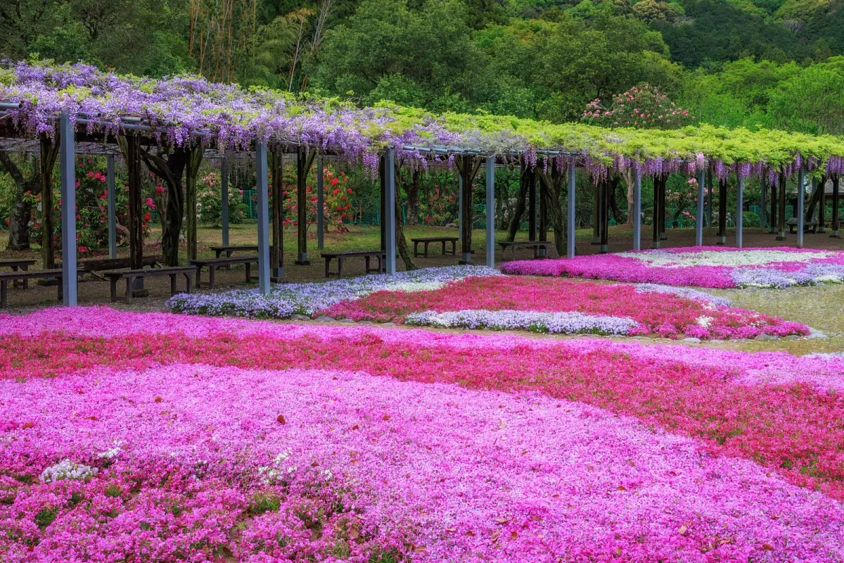 野原農村公園