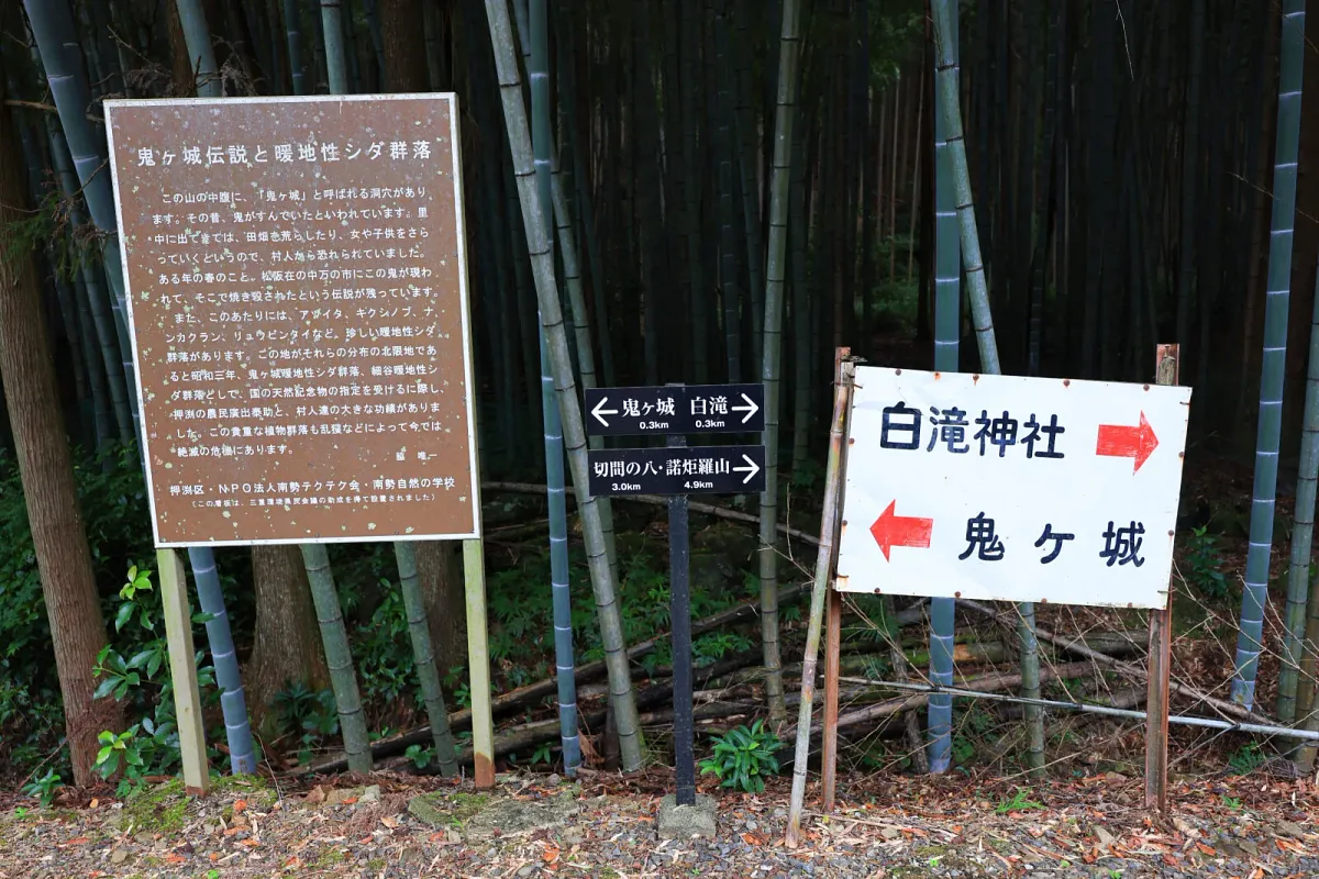 竹林の入口に立つ鬼ヶ城伝説と暖地性シダ群落の案内板