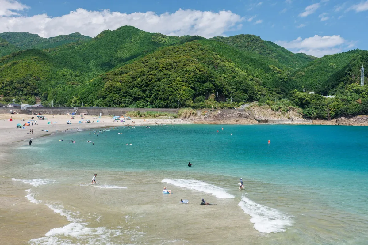 海水浴でにぎわう大泊海水浴場