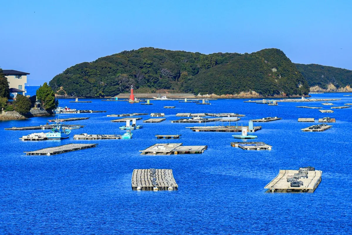 パールロードから眺める青い海