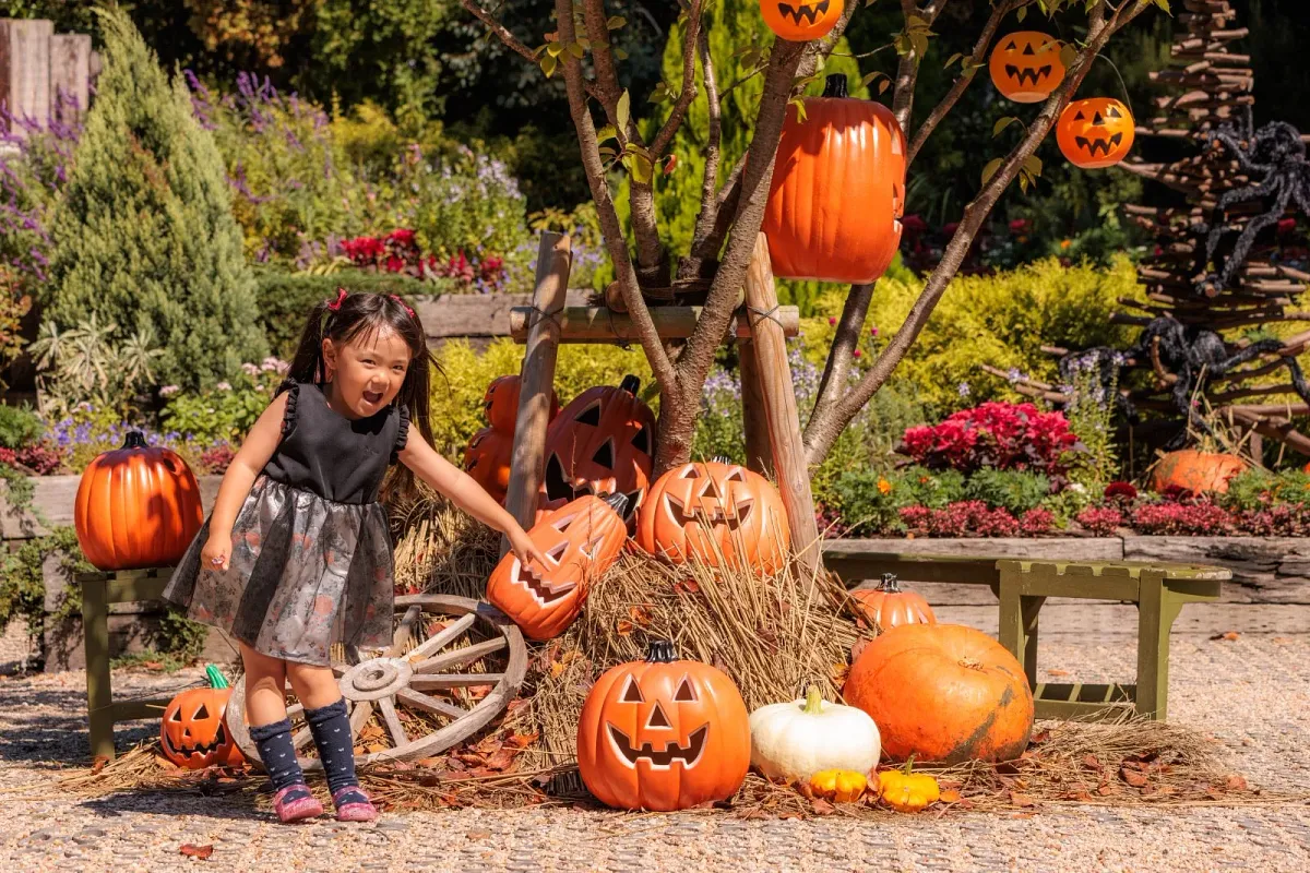 10月下旬にはハロウィンの装飾が設置されます