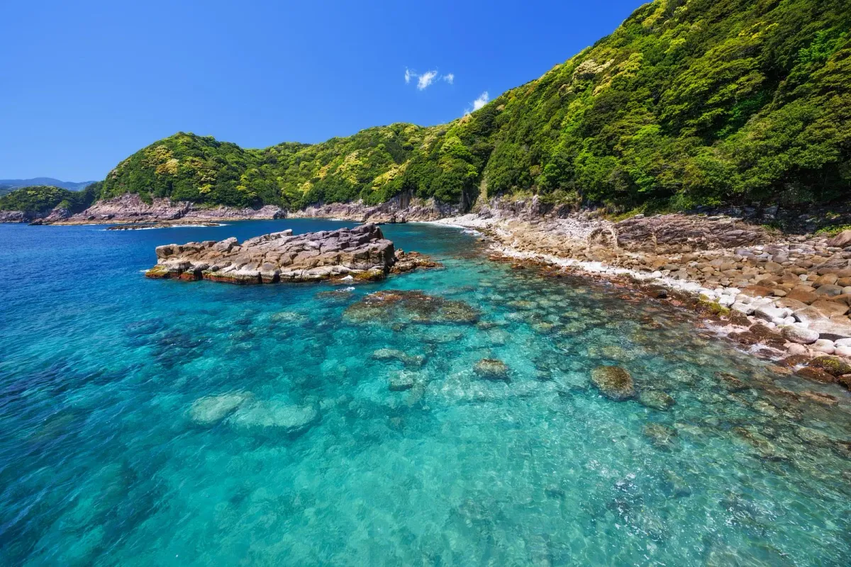 盛松（元盛松）