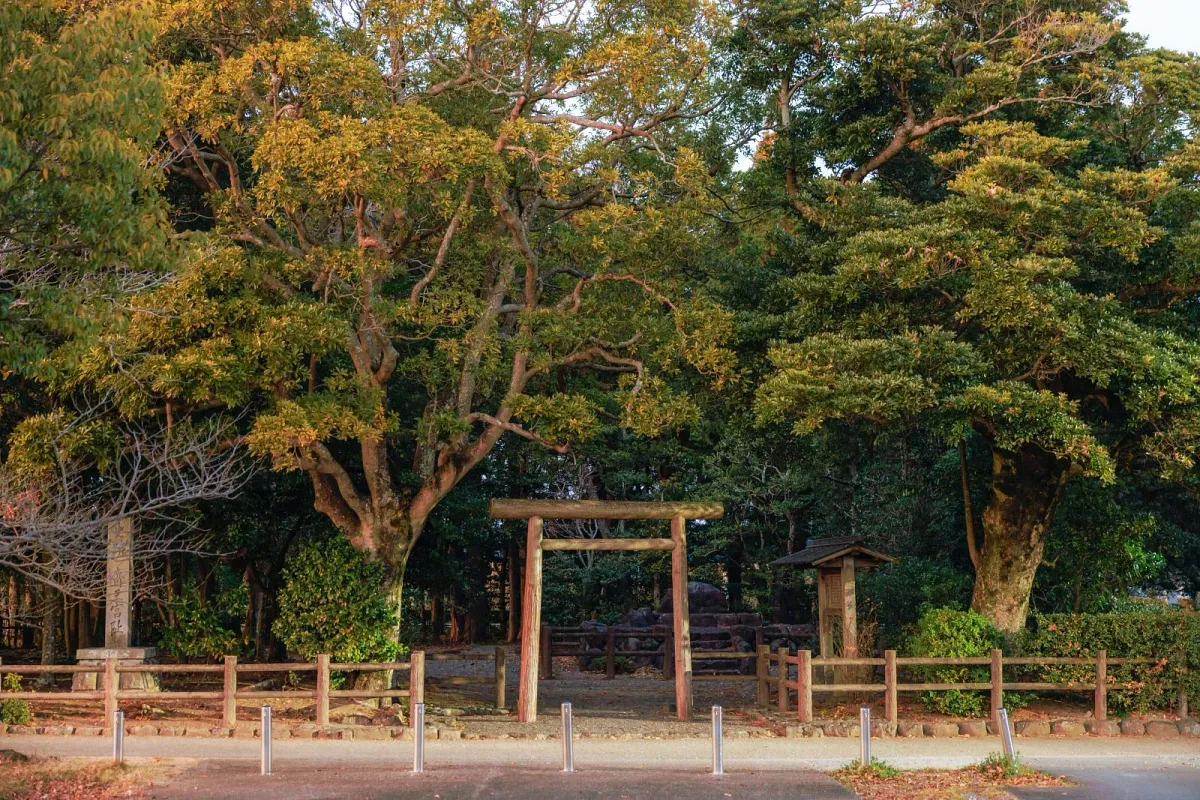 斎王の森