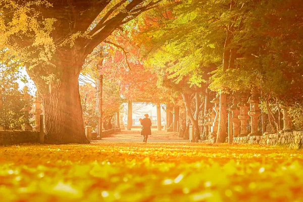 積田神社