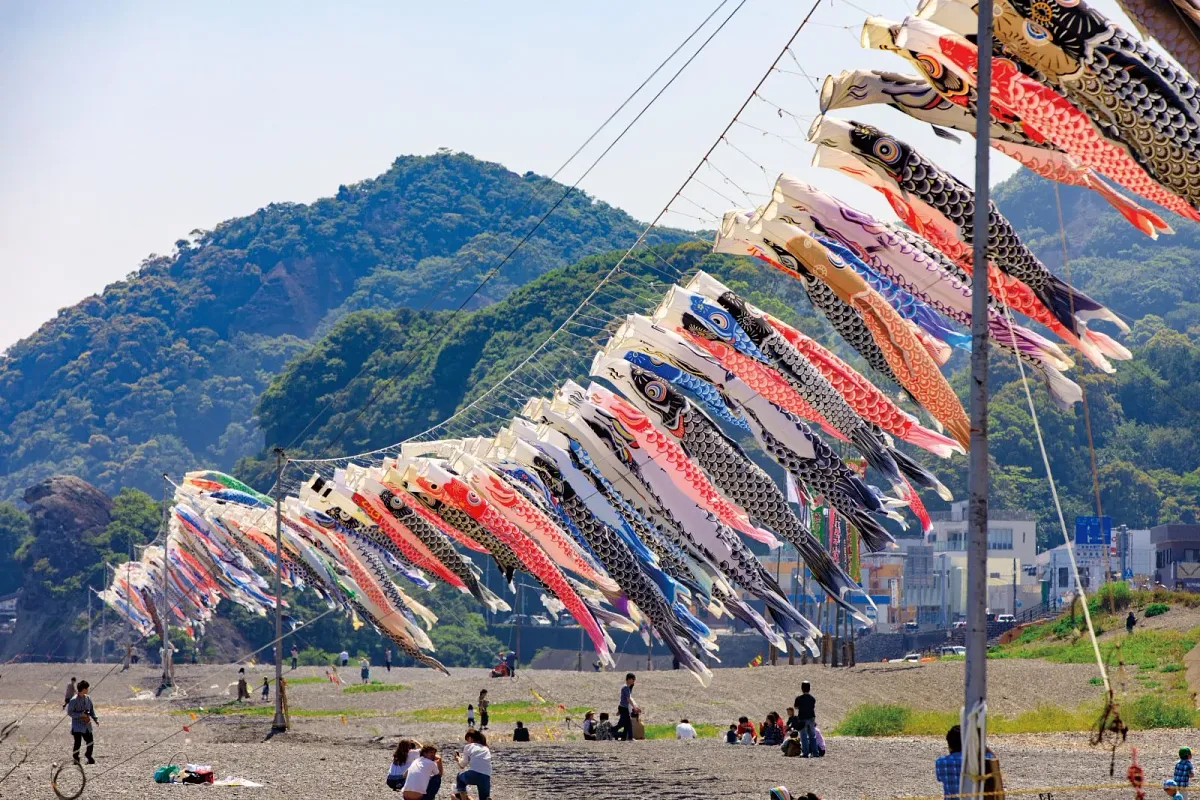 七里御浜を泳ぐ鯉のぼり