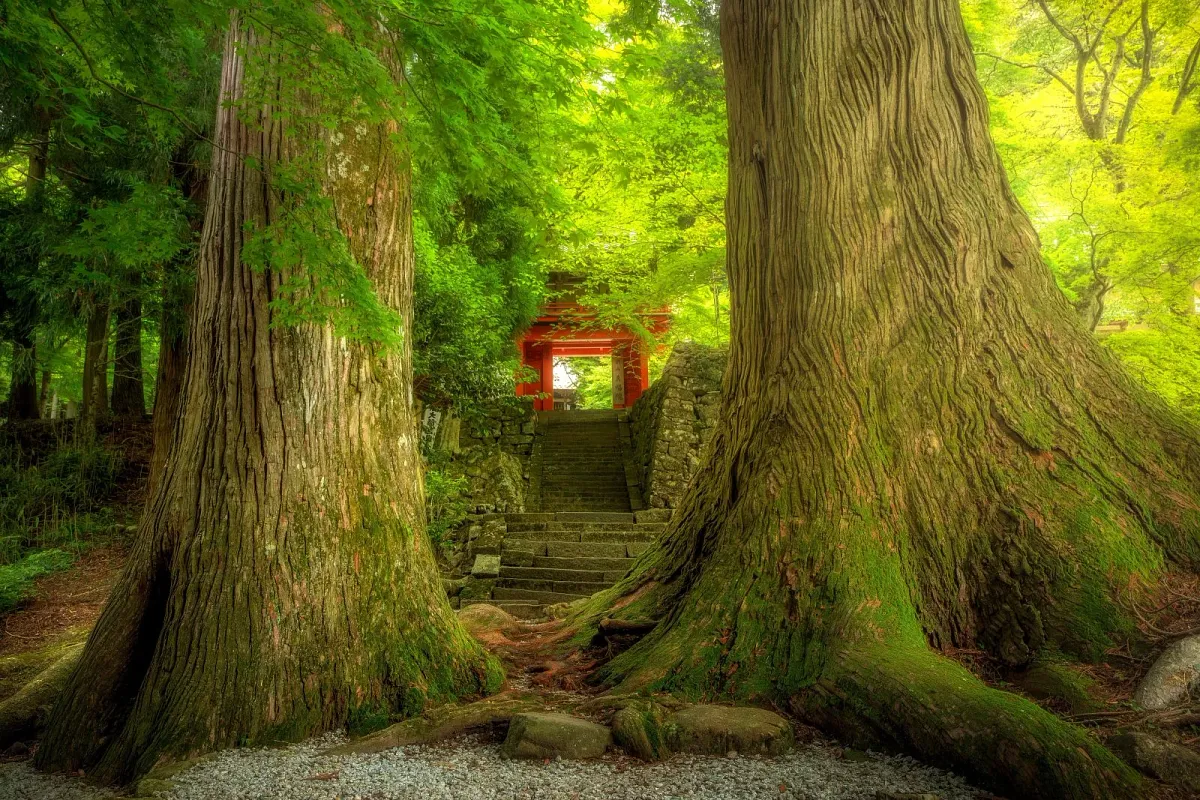 真福院