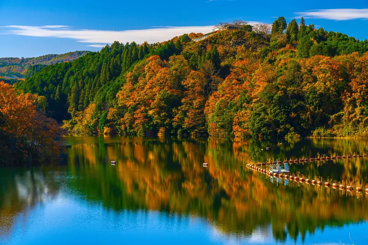 紅葉が映り込む青蓮寺湖